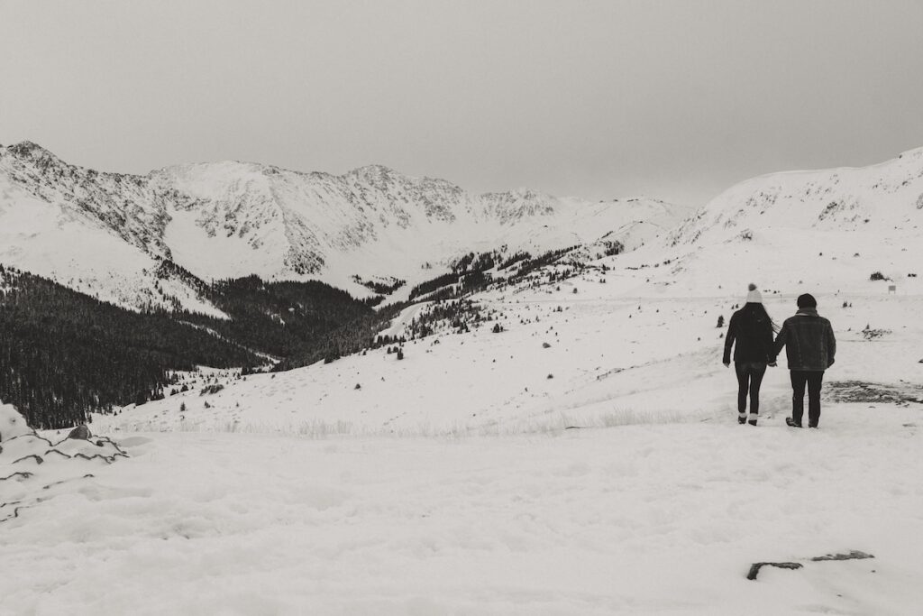 Amanda & eli engagement portraits